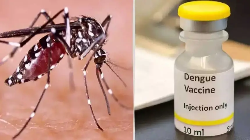 Dengue Vaccine